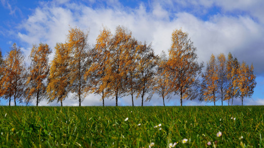 �1761647 �������(a): ����������:3500x1968